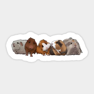 Current Guinea Pig Group Sticker